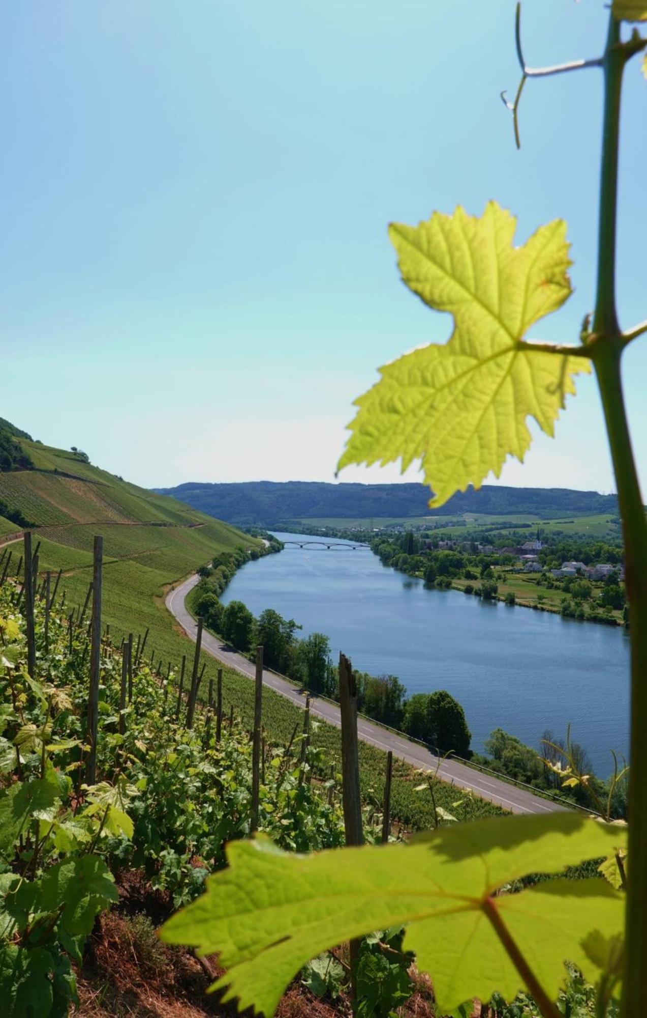 Neue Loft Im Alten Kelterhaus - Urlaub Im Wein- Und Ferienort Bekond Exterior photo